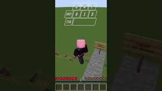 Famous NO Fall Damage GLITCH in Minecraft ! Wealth