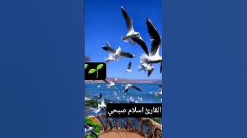 #تلاوة_خاشعة #إسلام_صبحي #تلاوة_هادئة #اسلام_صبحي #خواتيم_سورة_المؤمنون #سورة_المؤمنون #قرآن_كريم 🌱🌱