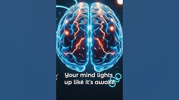 What Happens When You Dream