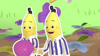 Bad Luck Morgan | Bananas in Pyjamas Season 1 | Full Episodes | Bananas In Pyjamas