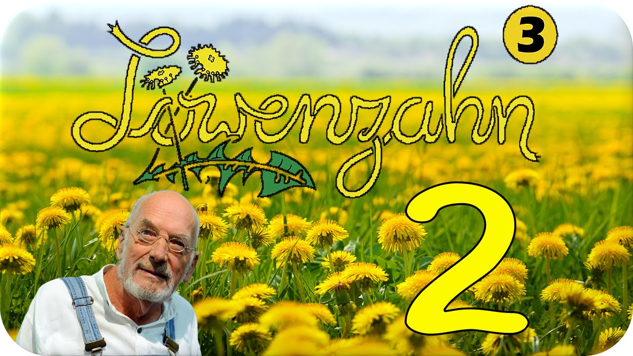 Let´s Play Löwenzahn 3 Part 2: Das Lexikon und alles über Magnete!