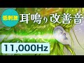 【耳鳴り治療音】低刺激 耳鳴り軽減・改善音 11,000Hz | 即効性 頭鳴りにも