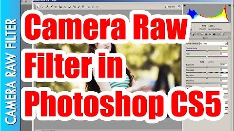 Camera Raw Filter in Adobe Photoshop CS 5 || Rayarakula Karnakar
