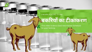 बकरियों का टीकाकरण।Goat Vaccination Schedule for goat farming. प्रमुख रोगों के लक्षण और उपचार।