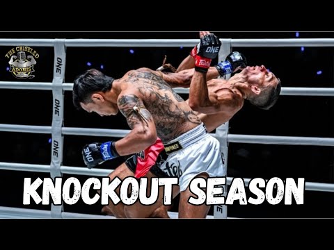 Getting Knocked Out Doesn't Seem Fun