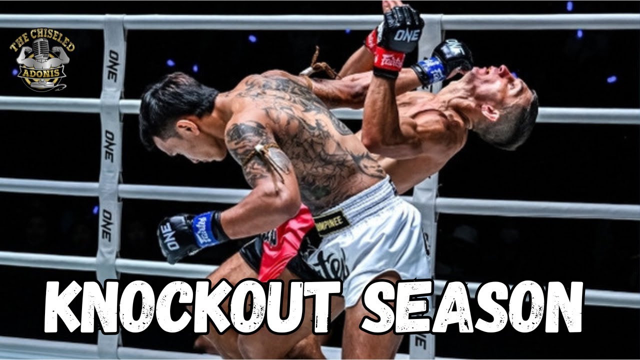 Getting Knocked Out Doesn't Seem Fun