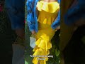 POV: Embracing being ethereal