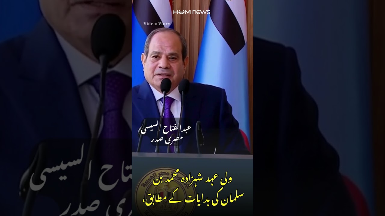Egyptian President Assures Saudi Arabia: “We Will Take Any Measure to Protect You”