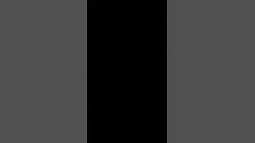 Unit 1 Summative Listening Number 7