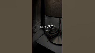 اكتب شيء تؤجر عليه // القارئ عبدالرحمن مسعد "♡