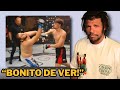 PETISTA vs BOLSONARISTA 🥊