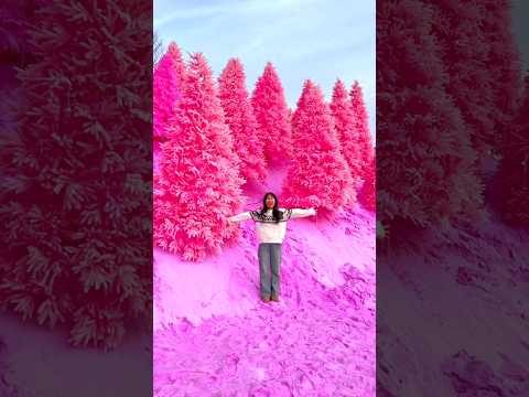 Most beautiful places on earth 🌎#nature #adventure #naturelovers #explore #travel #beautiful — free youtube stock footage