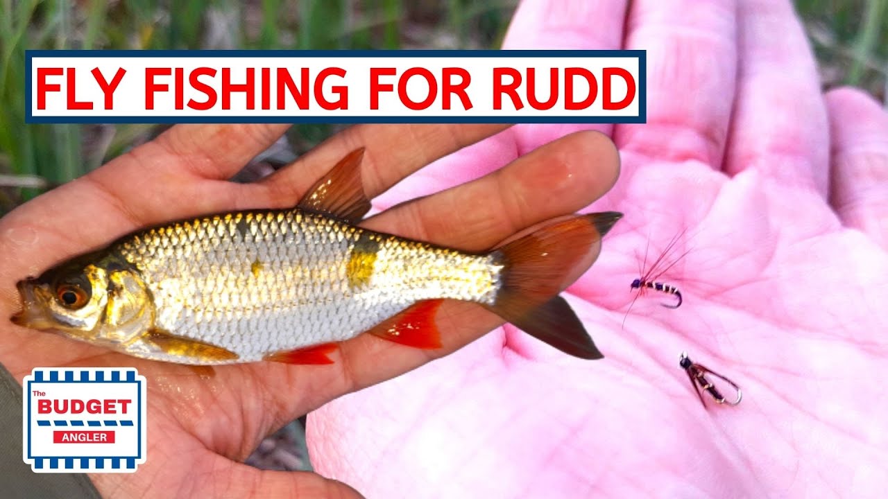 Fly Fishing for RUDD!?!? | Hand Tied Flies - YouTube