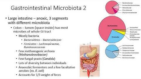 Ch 24 Microbial Symbioses with Humans
