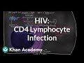 How HIV infects us: CD4 (T-helper) lymphocyte infection | NCLEX-RN | Khan Academy