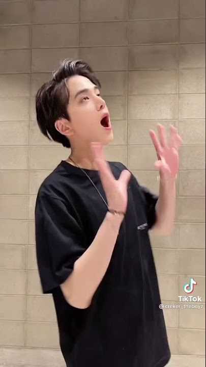 [THE BOYZ TIKTOK] With YOUNGHOON and Q