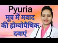 Pyuria; Pus in urine treatment - causes, symptoms and homeopathic medicine in hindi
