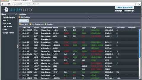 QuoteDaddy.com - How To Change Themes - Real Time Level II Streaming Stock Market Quotes