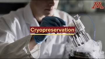 Science Simplified: What is cryopreservation?