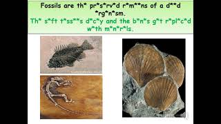 Biology - Fossils and Extinction