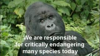 Humans are Causing the 6th (Holocene / Anthropocene) Mass Extinction and Climate Change!