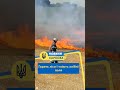 Shorts Горять ліси і тліють хлібні поля Shorts Горять ліси і тліють хлібні поля