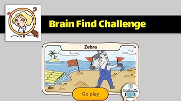 Brain Find Zebra Challenge Walkthrough