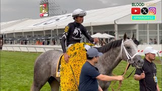 2024 Preakness Stakes: Mystik Dan Continues Triple Crown Pursuit. Can Another 