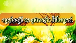 7 Numara...haydar Armağan Hikaye Klip