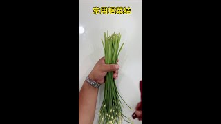 7390736791470460175.mp4