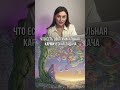 Новая Норма.