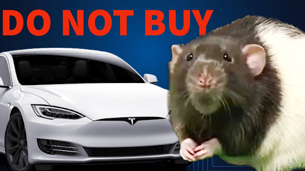 The Tesla Review (RAT Edition) - YouTube