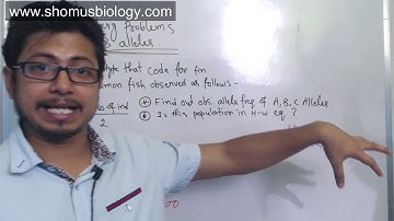 Hardy Weinberg equilibrium problems with 3 alleles | CSIR NET analytical problems