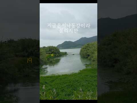 낙동강이 서낙동강이 된 이유.본류는 어디?왜 에코여야 하는가? #에코델타시티 #낙동강 #부산강서구 #물의도시