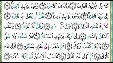 75- سورة القيامة | مصحف حفص |أيمن سويد