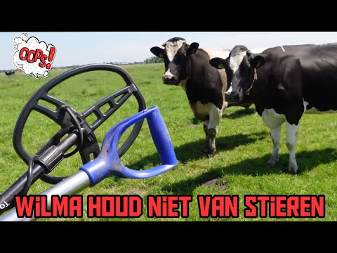 Video: Watter Metaal Simboliseer Stier