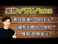 果物で"がん"になる⁉️果糖の知られざる危険性【自然療法士 ルイ】