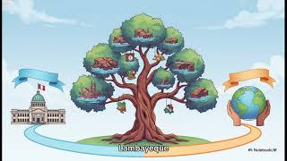 El Árbol De Problemas Del Pprrd Cómo Se Construye Sin Observaciones