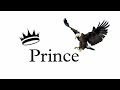 Live garba mix by dj prince garba remix youtube viral djprince  nonstopgarba djprince