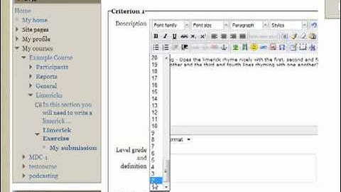 Moodle 2 Workshop Setup