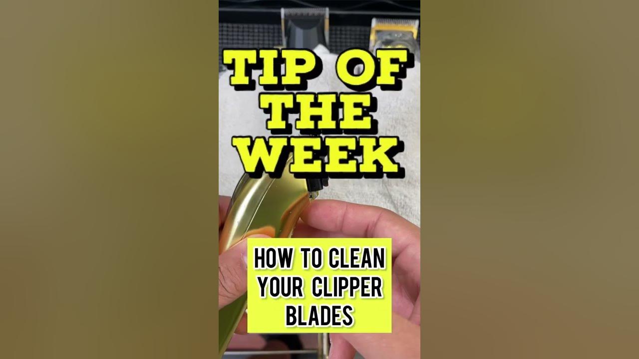 💪How to properly clean your grooming blades with just one product