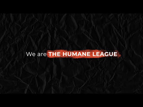 The Humane League: Our Mission