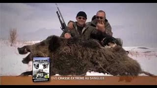 Reportage de Chasse extreme au sanglier en Turquie Sus scrofa attila,the wild boar hunting ...