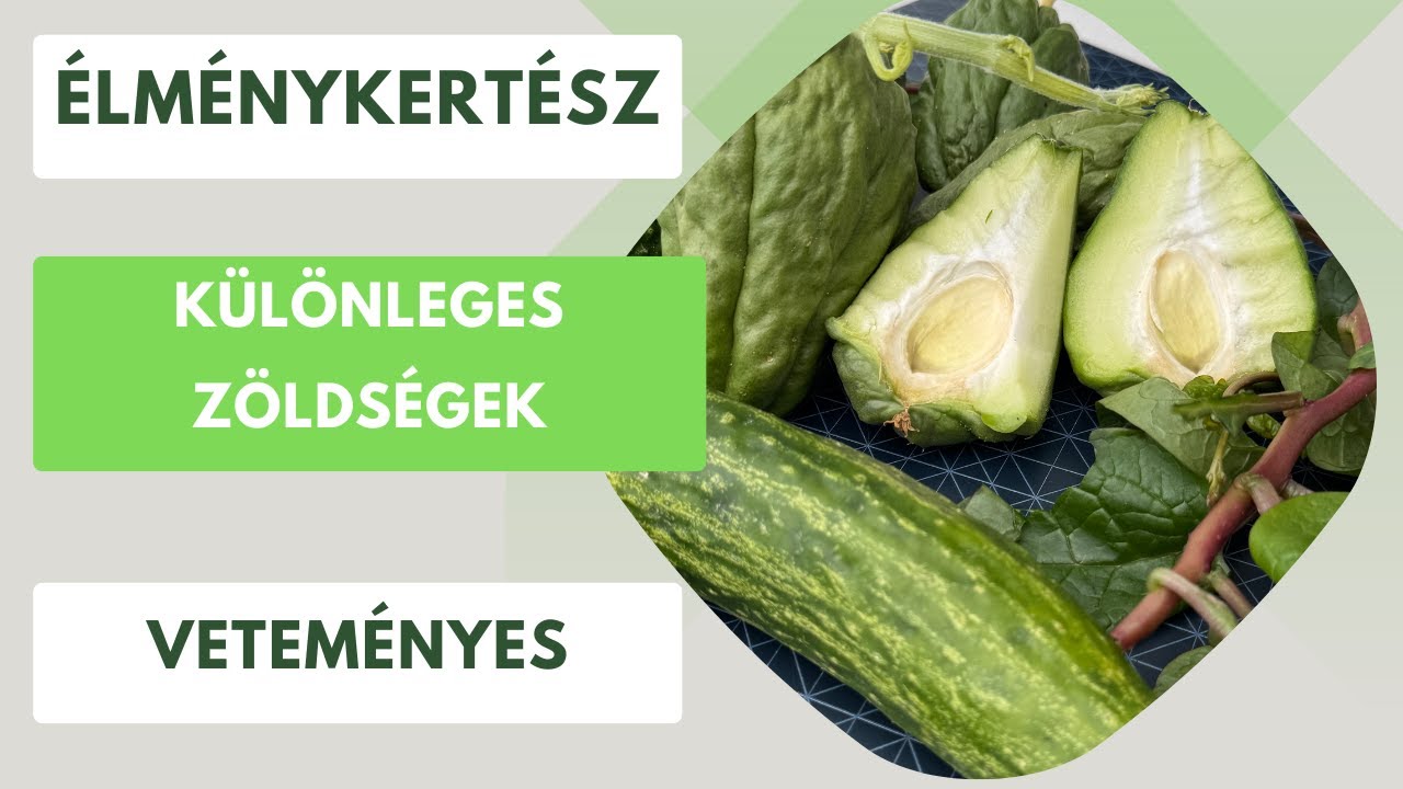 Különleges zöldségek- Ezeket jövőre biztos nem hagyom ki a veteményesből!🥒🥬