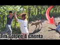 Titi sin lastima boto ala chenta al suelola  chenta lo agarro a barejonazos dejndolo bien golp3ado