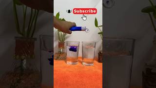 Ujala കൊണ്ടൊരു കിടിലൻ പരീക്ഷണം🔵😳#experiment #diy #new #viral #trending #ujala #science