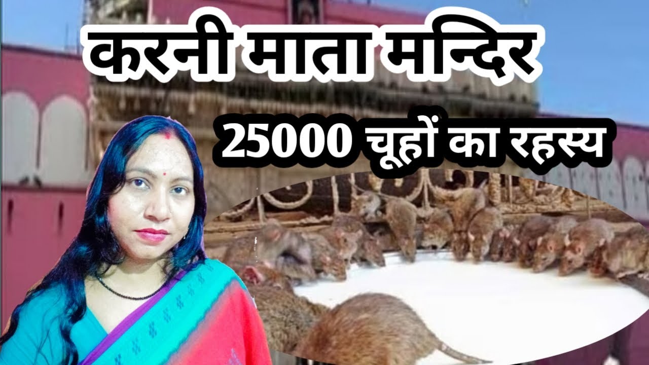 Karni Maata Mandir L Karni Maata Temple Of Bikaner L Kl Facts YouTube karni-maata-mandir-l-karni-maata-temple-of-bikaner-l-kl-facts-youtube