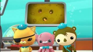 Octonauts - La minute sous-marine : L'éponge de mer
