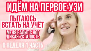 видео: ПЕРВОЕ УЗИ ИДЁМ ВМЕСТЕ ◈ КАК ВСТАТЬ НА УЧЁТ ◈ 6 неделя беременности 1 Часть ◈ Влоги беременной Сашки картинка: ПЕРВОЕ УЗИ ИДЁМ ВМЕСТЕ ◈ КАК ВСТАТЬ НА УЧЁТ ◈ 6 неделя беременности 1 Часть ◈ Влоги беременной Сашки