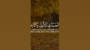 #quran #سورة #سورة_البقرة س#سورة_الحج #سورة_الكهف #سورة_يوسف #سورة_الملك #سورة_الرحمن #الله #quran